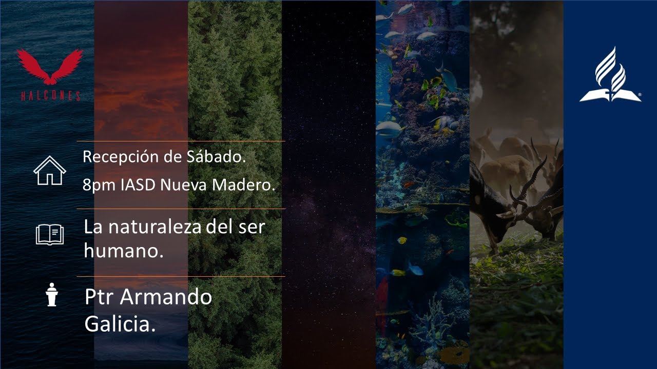 La naturaleza del ser humano - YouTube