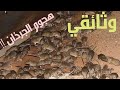فيلم وثائقي من ناسيونال جيو غرافي حول هجوم الجردان فيلم وثائقي من ناسيونال جيو غرافي حول هجوم الجردان