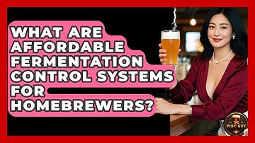 What Are Affordable Fermentation Control Systems For Homebrewers? - The Pint Guy