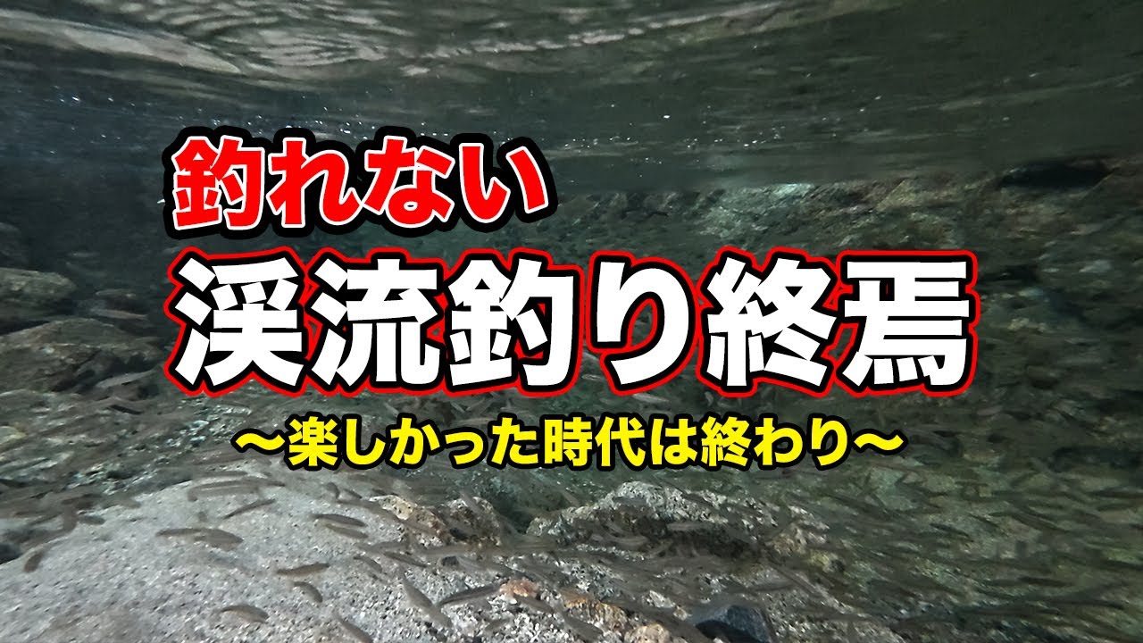 【渓流釣りは終わり】釣れない。爆釣だった川が環境悪化で永遠にさらば。天然アマゴの楽しかった里川の時代は終わり