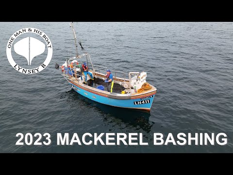 2023 Mackerel Bashing