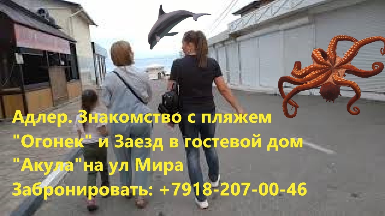 Авто акула кемерово