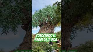 Conociendo el ÁRBOL DE LA VIDA ! @hermanitasCARDENAS