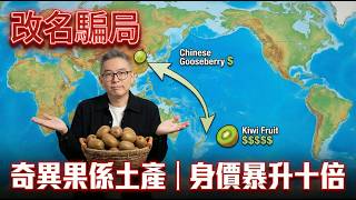 Download Lagu 金奇異果VS綠奇異果？拆解紅心奇異果疑雲，這隻色先係通便神物！營養師教路：加埋呢樣嘢食「功效翻倍」，全港老友記都食錯晒！ MP3