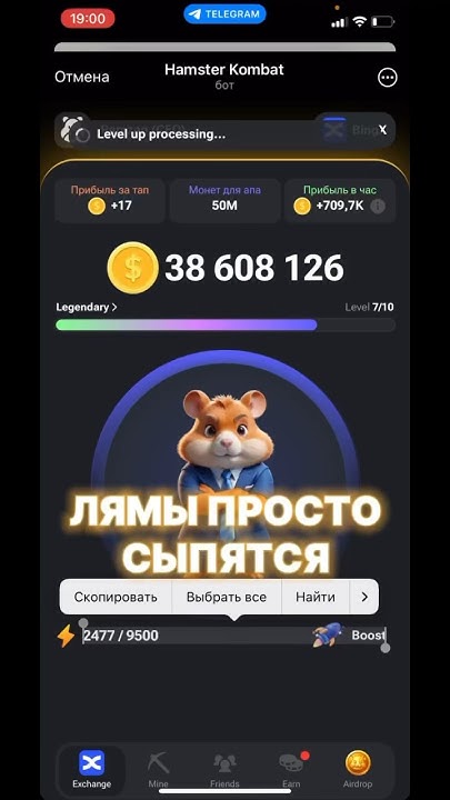 Лайфхак для хамяководов #хамяк - YouTube