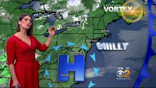 Wcbs 2 News At 11 Vanessa Murdock Beautiful Red Dress 2-26-17