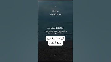 القرآن الكريم راحة نفسية  ماتيسر من سورة النمل