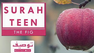Surah Teen The Fig English Translation Tauseef Recitation