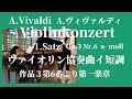 A.Vivaldi:1.Satz-Violinkonzert a-moll Op.3 Nr.6 RV356　 A.ヴィヴァルディ: ヴァイオリン協奏曲イ短調作品3第6番より第一楽章【フルートとピアノ】