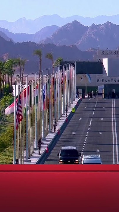        ..    
 - نشر قبل 17 دقيقة