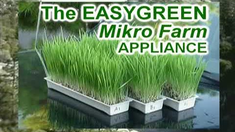 EasyGreen Automatic Sprouter Mikro Farm