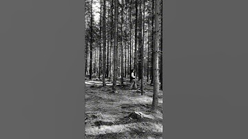 Clowning over REP TV#shortvideo #taylorswift #reputation #taylorsversion #clowning #swifties