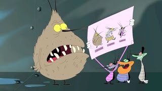 Oggy and the Cockroaches - The Ancestor (S03E24) Full Episode in HD