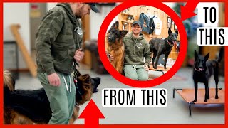 AGGRESSIVE GERMAN SHEPHERD TRIED TO ATTACK MY DOG!