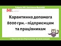 Карантинна допомога 8000 грн. - підприємцям та працівникам