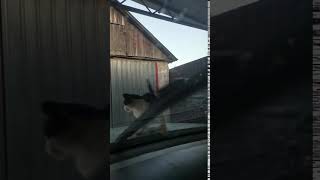VID 20200921 181556