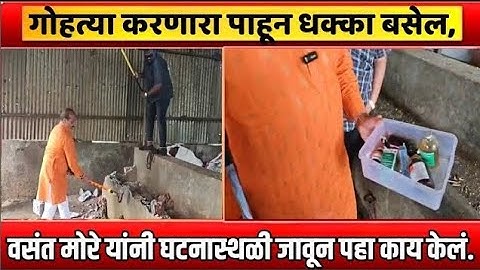 गोहत्या करणारा पाहून धक्का बसेल वसंत मोरे यांनी घटनास्थळी जाऊन पहा काय केले/vasant more/MarathiTop10