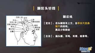 4.3 颞枕区头针线 | 针灸 刺法灸法学 中国大学 MOOC (慕课) 4.3 颞枕区头针线 | 针灸 刺法灸法学 中国大学 MOOC (慕课)