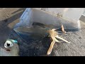 [SPRING] Catching a Bag of Squid at Brighton Jetty (And giving away most of them~)