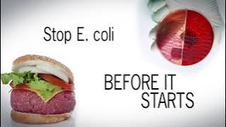 How to Stop E. coli Before It Starts