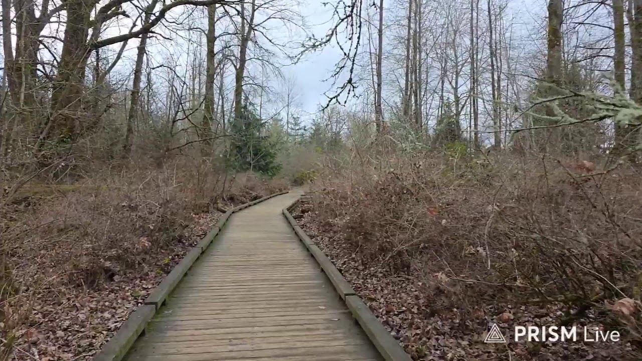 Live streaming of Tobin aka Don't Stop Believin'