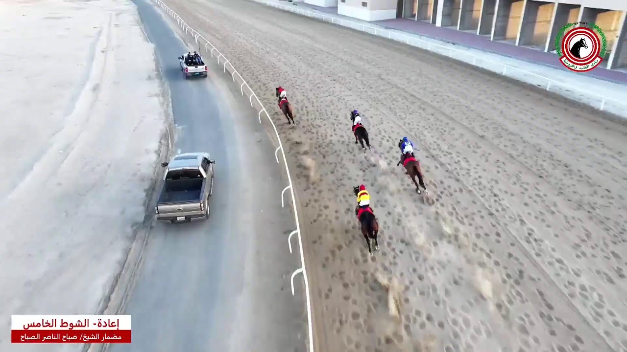 بث مباشر - مضمار الشيخ صباح الناصر الصباح - الأجتماع الحادى عشر -  لموسم 2024-2025