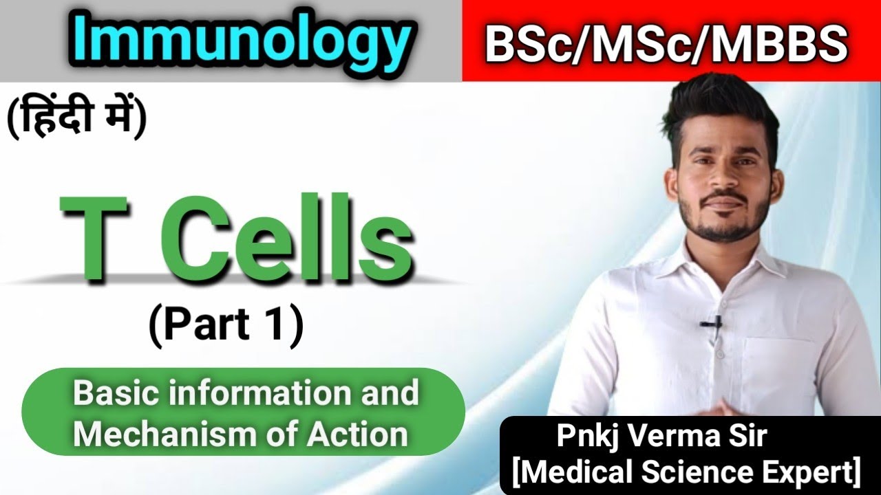 T Cells - part 1 - Immunology - YouTube