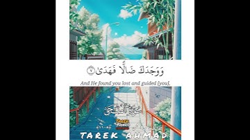 حالات واتس قرانيه للقارئ الشيخ احمد بن علي العجمي تلاوه خاشعه