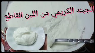 من كيلو لبن عملت الجبنه القشطه الكريمي (اذاي تعملي مع اللبن القاطع او الراتب وتطلعي منه احلي جبنه )