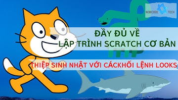 Thiệp Chúc Mừng Sinh Nhật | Khối Lệnh Looks Trong Scratch | Scratch Cơ Bản | Phần 4