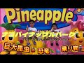 ナゴパイナップルパーク