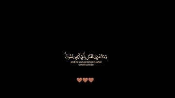 سورة لقمان / إسلام صبحي / تلاوة خاشعة ومؤثرة