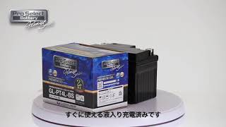 バイク用バッテリーGL-PT4L-BS (YT4L-BS互換)(ジェルタイプ 液入充電済)