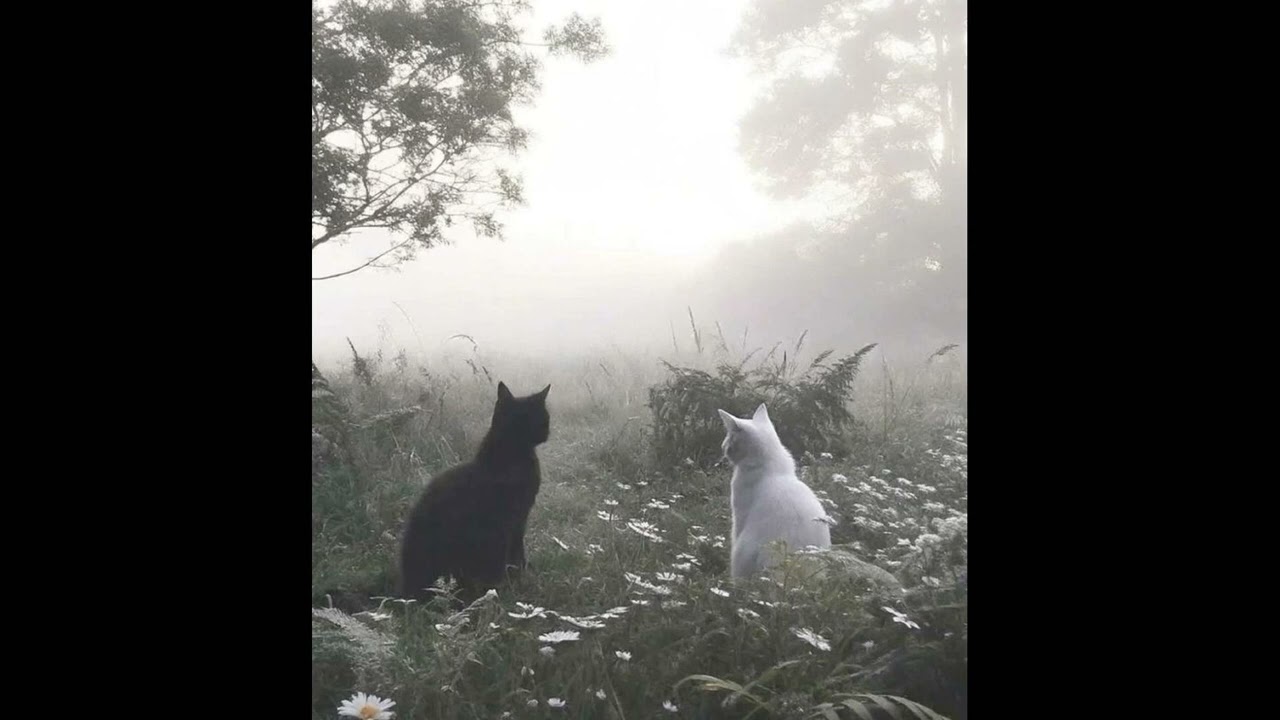 [free] archivecore x soundcloud type beat - "look"