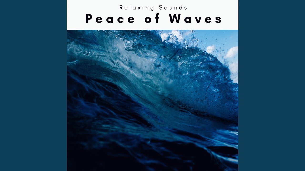 Wild Coastal Noises for Best Nights