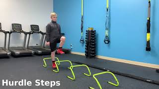 Hurdle Step Exercise
