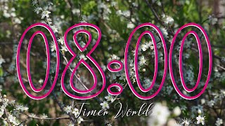 8 Minute Spring Timer with Relaxing Music and Silent Alarm 🌸 Meditation and Relaxation for Class 🌼🌺