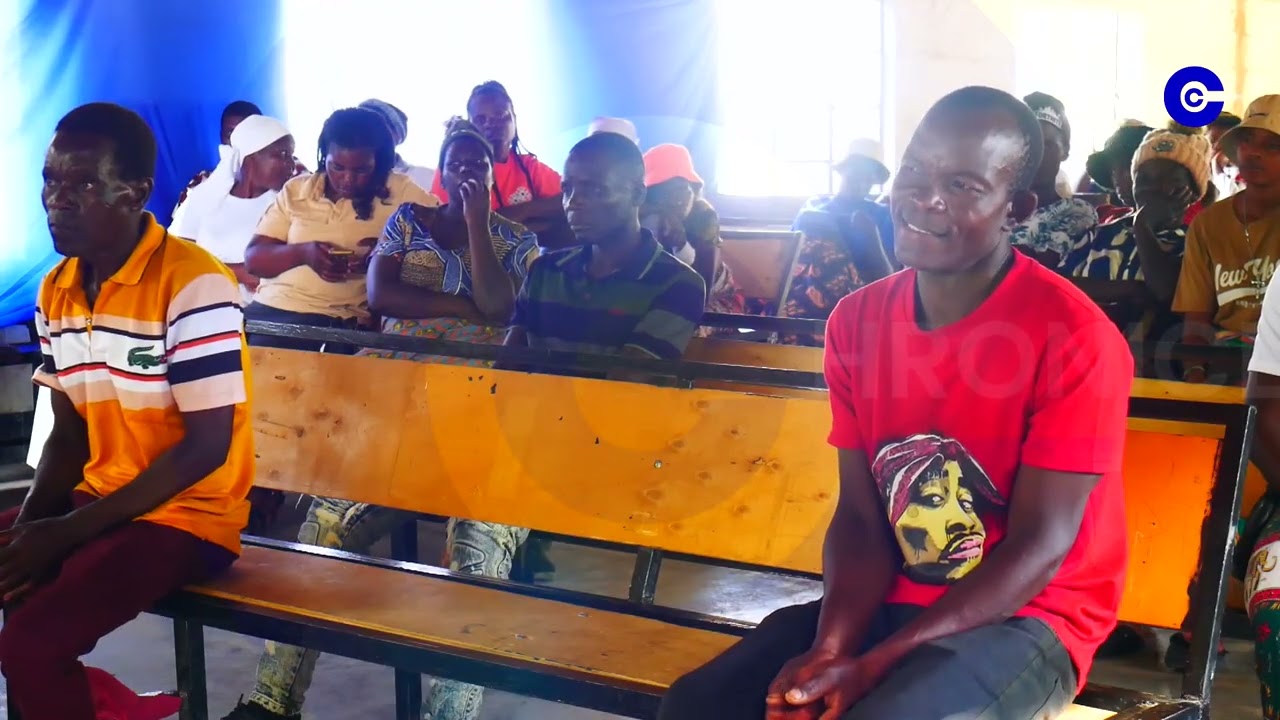 Mombe Yake Yakadya Mumunda Mangu Kubva Kari Kamhuru 