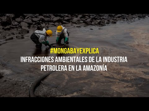 #MongabayExplica: Las infracciones ambientales de la industria petrolera en la Amazonía