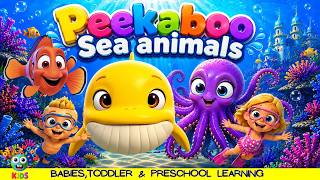 Babies, Toddler & Preschool Learning | 🐠Peekaboo Sea Animals Songs | Joyful World Kids