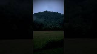 “Fairies in the Prairies” #Fantasy #nature #explore #reels #relaxing #shorts #fyp #asmr #animals