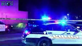 Jamaican Gang War in Lauderhill (Florida)