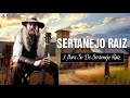 1 Hora so de Sertanejo Raiz -  Sertanejo Raizes Musicas Caipira Coisas Da Roça -  Sertanejo Raiz