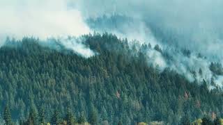 Forest Fires in Galicia (2006)