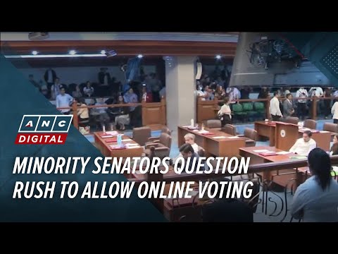 Video Minority senators question rush to allow online voting