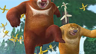 Vick and Boonie Bear  Annoying Picnic  Boonie Bears in Childhood  ⏰ 50 min