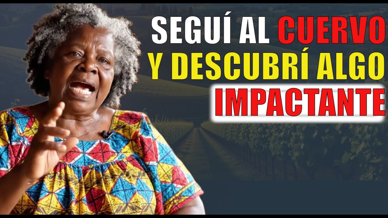 UN CUERVO GOLPEABA MI VENTANA CADA AMANECER - CUANDO LO SEGUÍ DESCUBRÍ ALGO IMPACTANTE