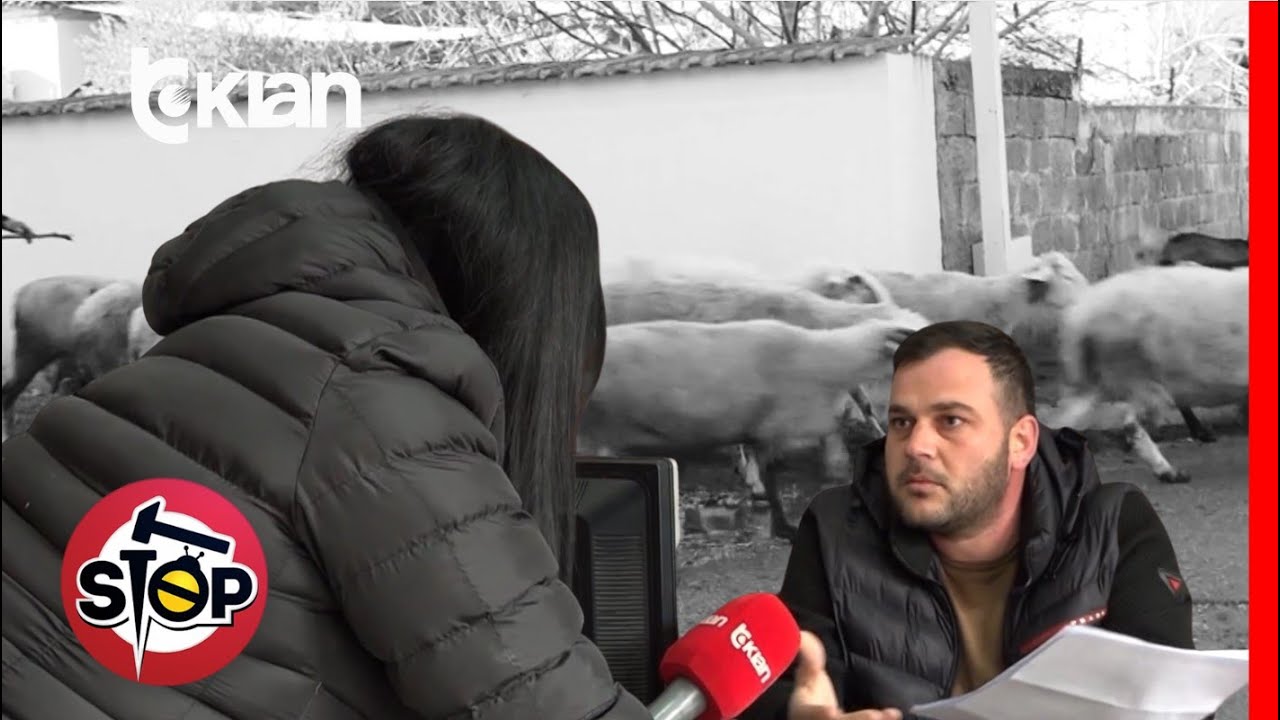 Stop-150 dele bëjne sfilate në mes të qytetit,çfarë bëri bashkia,pas videos të rrallë-19 Janar 2025