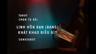 tarot: chọn tụ bài: linh hồn bạn (đang) khát khao điều gì?