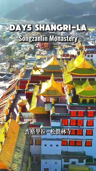 Why You Should Visit Yunnan, China (8-Day Travel Vlog)